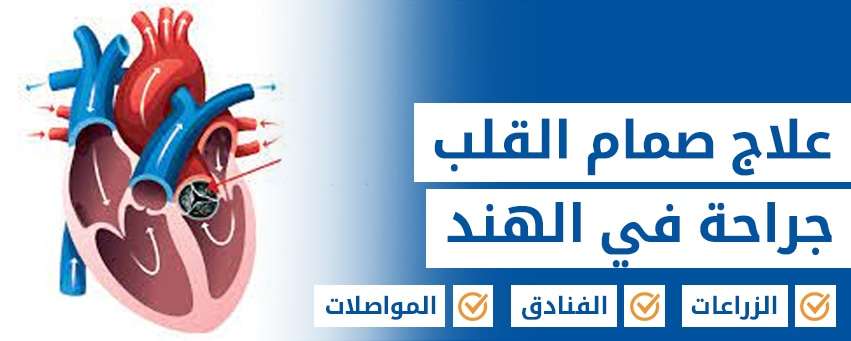 استبدال الصمام الأورطي عبر القسطرة